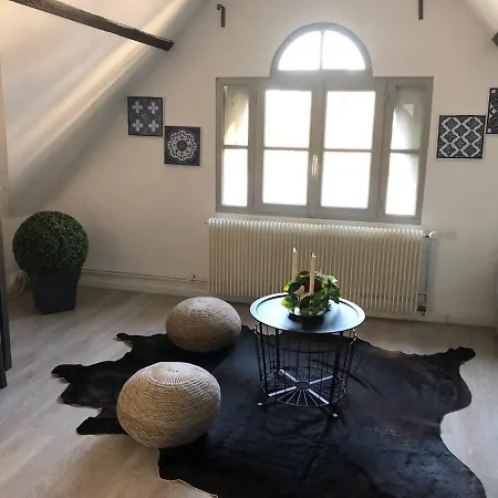 Appartement Hotel 하우덴